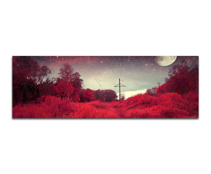 Paul Sinus Art Panoramabild auf Leinwand und Keilrahmen 150x50cm Wald Bäume Büsche Nacht Mond Sterne