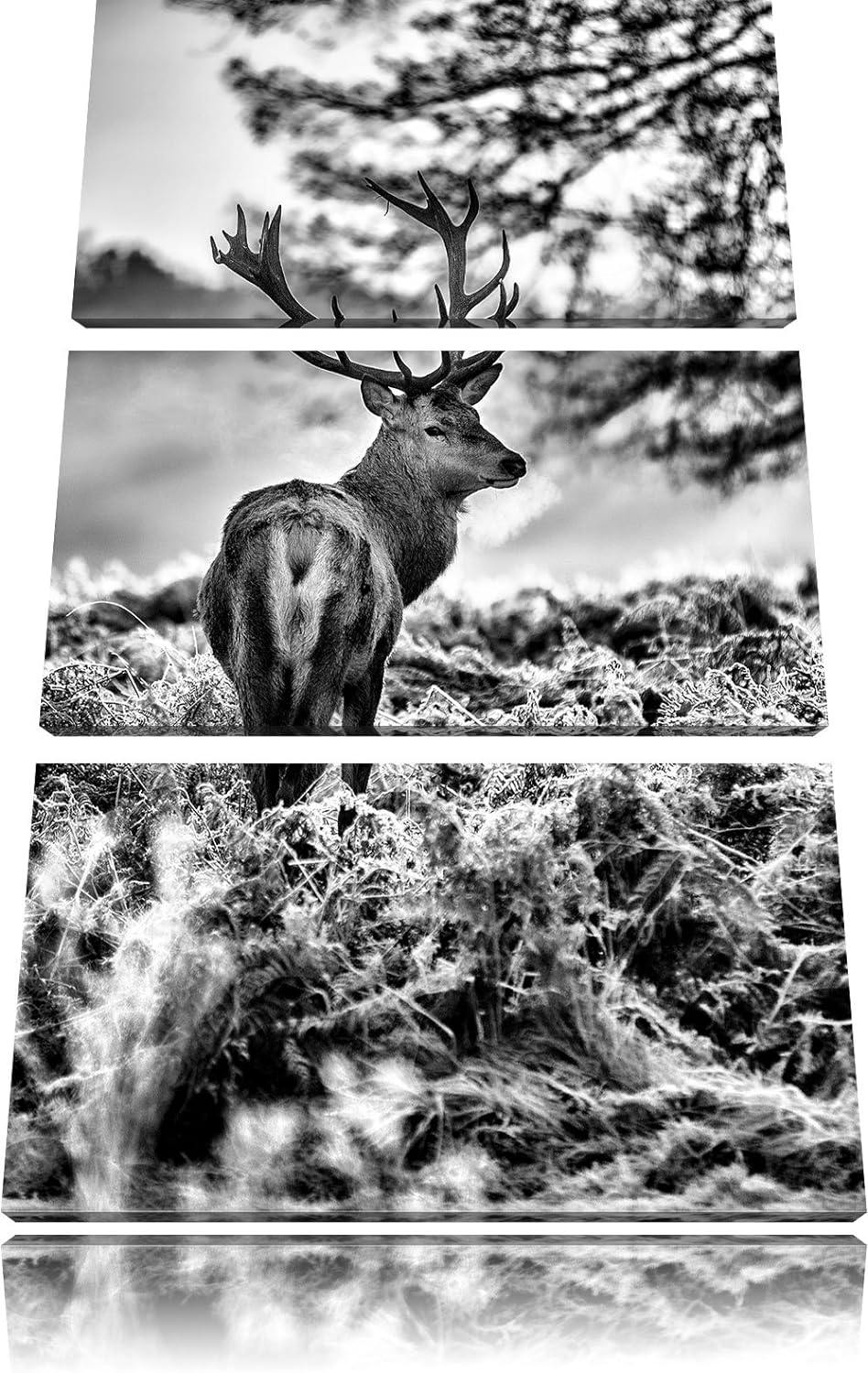 Pixxprint Hirsch im Wald als Leinwandbild/Grösse: 3 Teilig (120x80) cm/Wandbild/Kunstdruck/fertig be