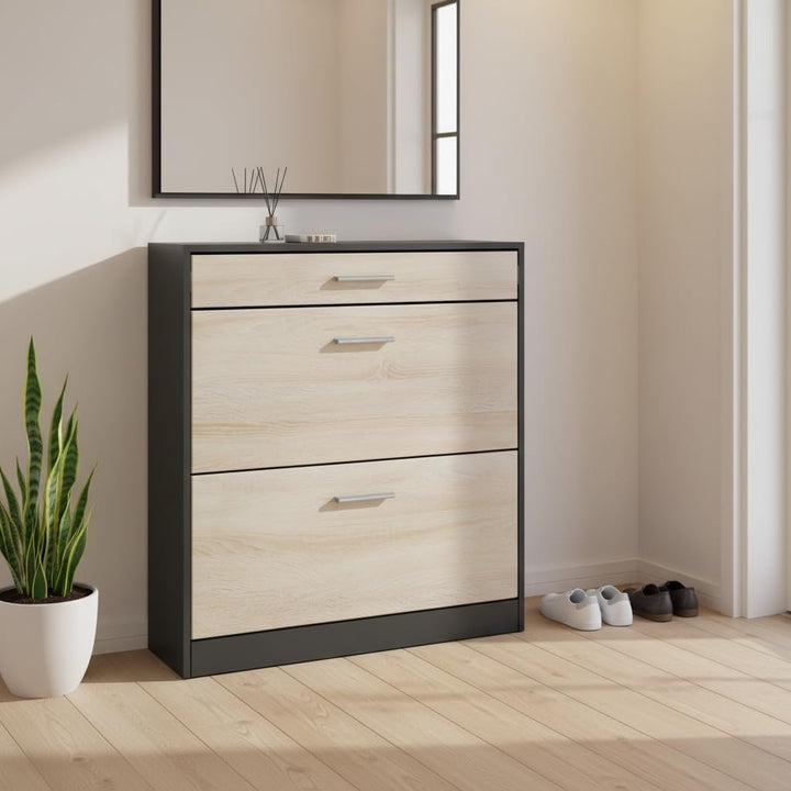 Schuhschrank Roma Schmal mit 2 Klappen und 1 Schublade, Platzsparender Schuhkipper Flurschrank für D