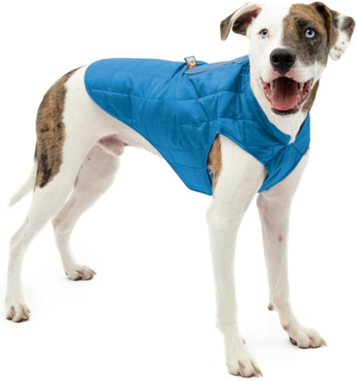 Kurgo Loft Hundejacke, Mit Hundegeschirr kombinierbar, Wasserdicht und reflektierend, Ideal für den