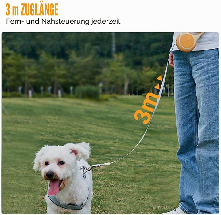 Einziehbare Hundeleine Mit Licht - 3m/5m Ausziehbare Leine für Kleine, Mittelgrosse und Grosse Hunde