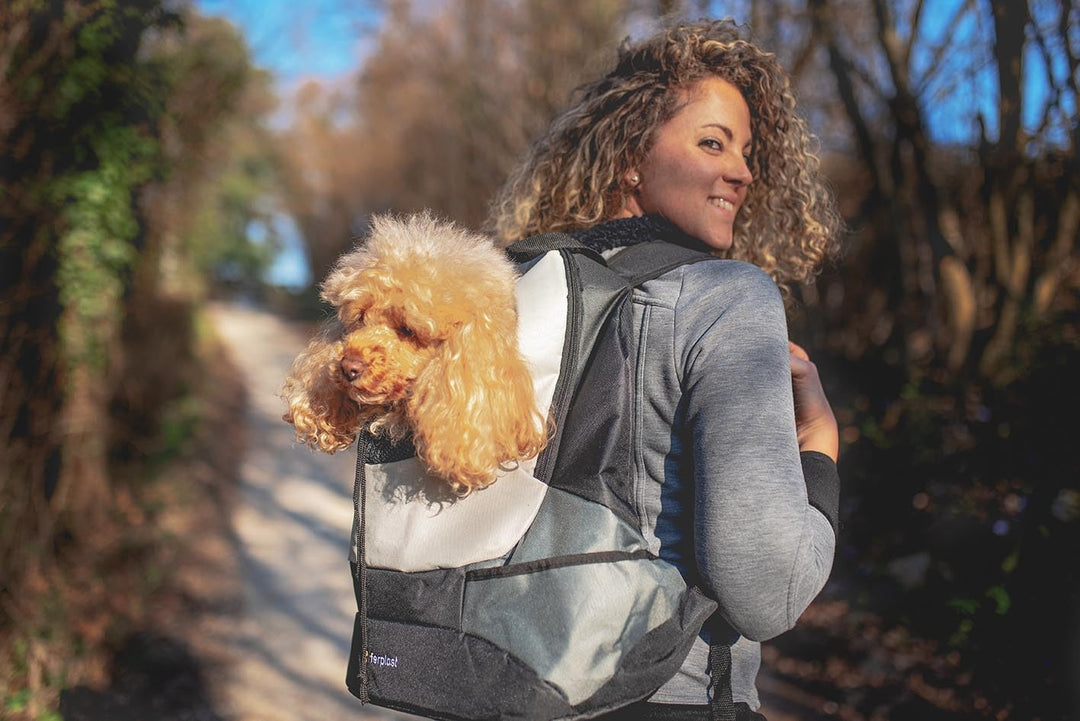 Ferplast Zaino per Cani KANGOO, Trasportino Gatto, Zaino per Gatti, Ampia Apertura, Cinghia di sicur