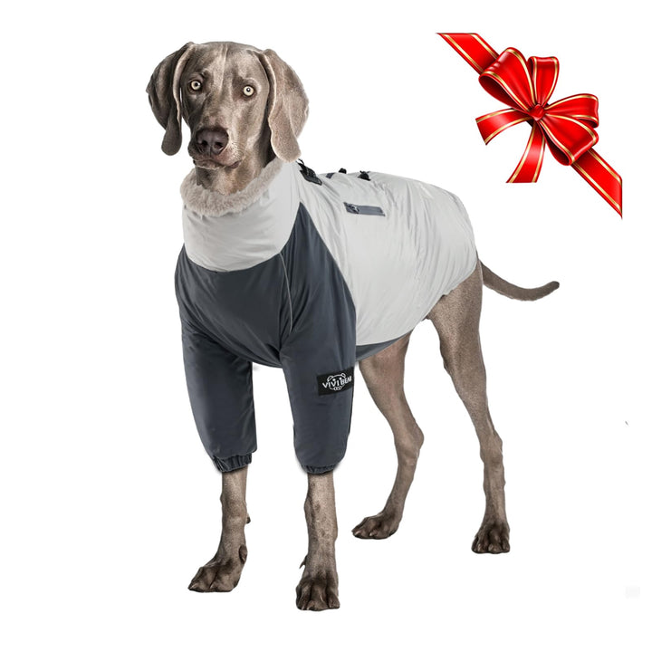 Hundemantel mit Geschirr D-Ring und Tasche, warme Hundejacke für mittlere grosse Hunde, wasserdichte