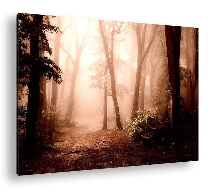 deyoli neblischer Waldweg Format: 80x60 als Leinwand, Motiv fertig gerahmt auf Echtholzrahmen, Hochw