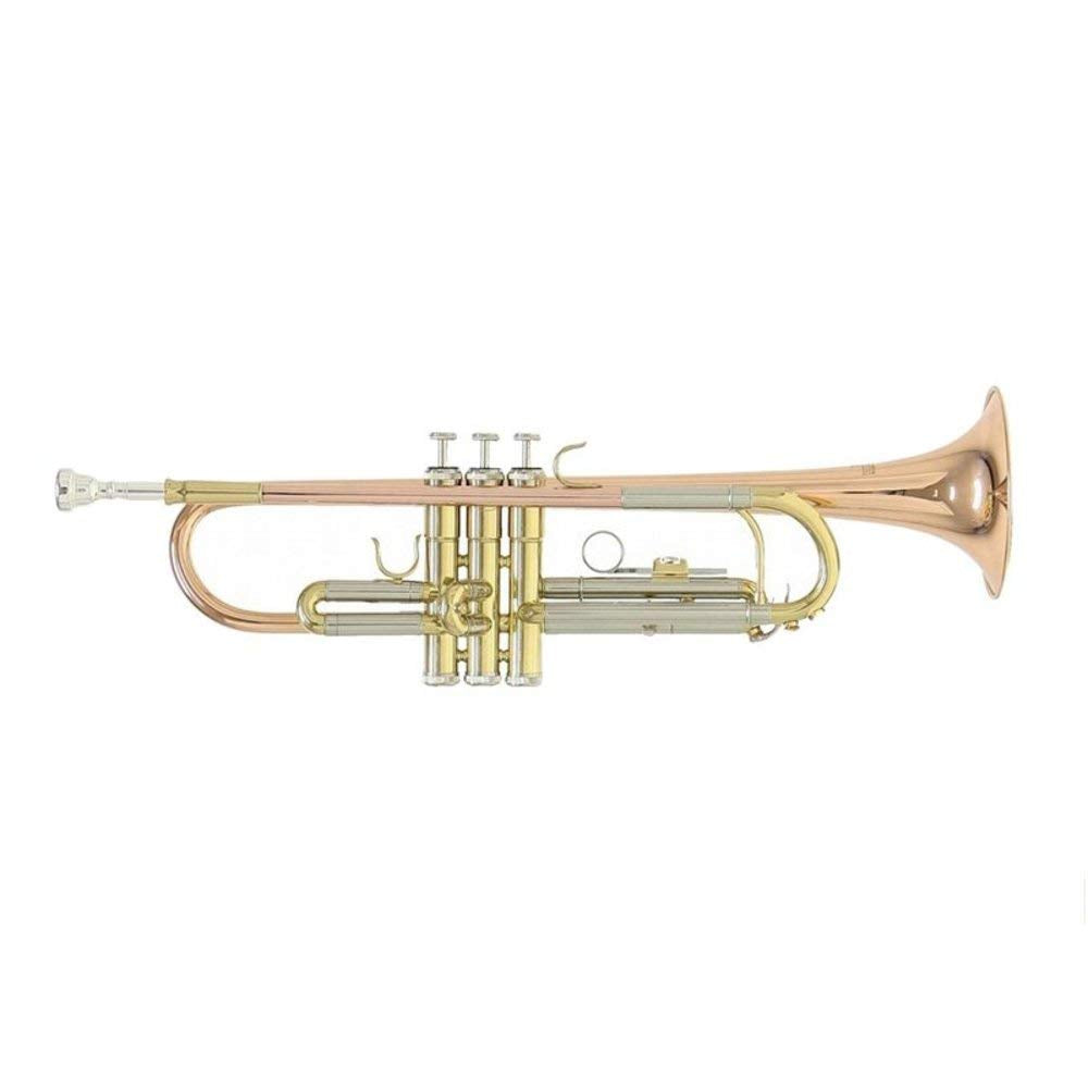 Roy Benson Bb Trompete MOD.TR-202G goldmessing lackiert, inkl. Etui, TR-202G