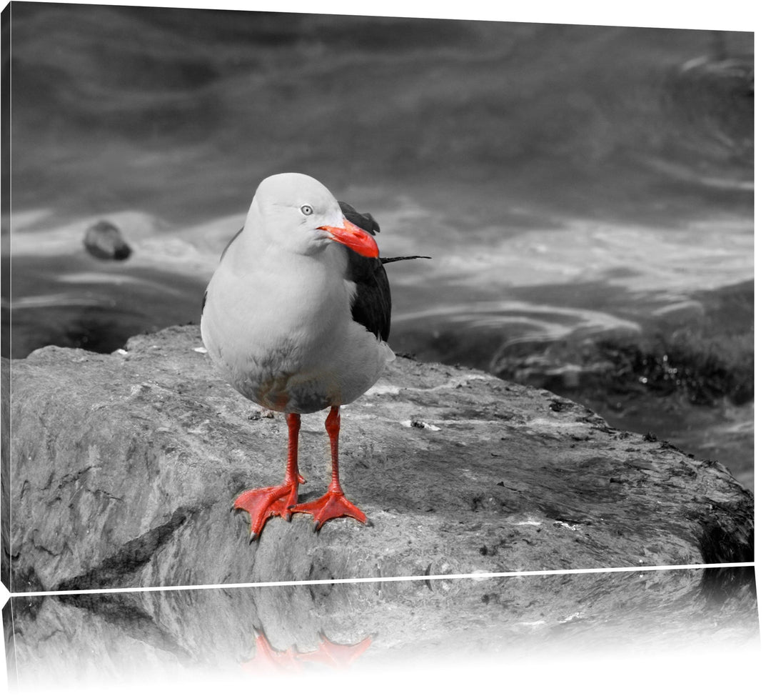 kleine Möwe auf Felsbrocken schwarz/weiss auf Leinwand, XXL riesige Bilder fertig gerahmt mit Keilra