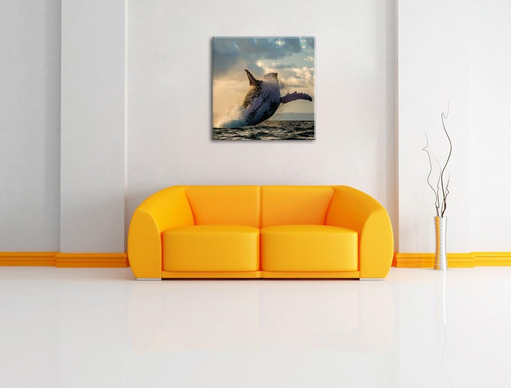 Buckelwale Kanada, Format: 70x70 auf Leinwand, XXL riesige Bilder fertig gerahmt mit Keilrahmen, Kun