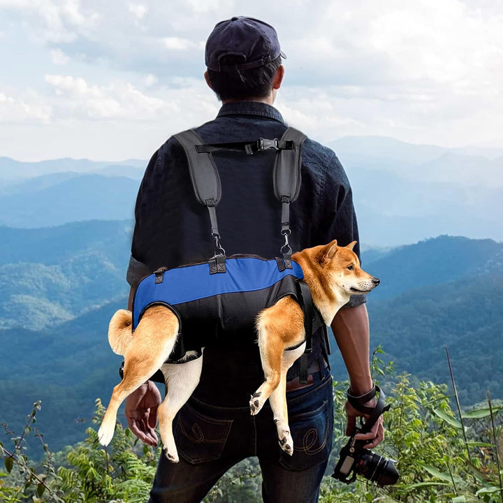 PETCUTE Hunde-Tragegeschirr,Hundegeschirr-Rucksack für grosse Hundes,Ganzkörpergeschirr mit Griff,Ve