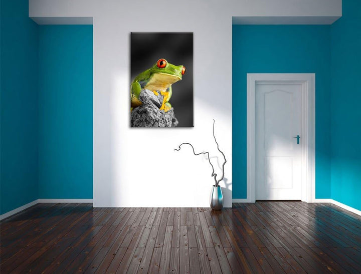 schöner Rotaugen Frosch schwarz/weiss Format: 100x70 auf Leinwand, XXL riesige Bilder fertig gerahmt