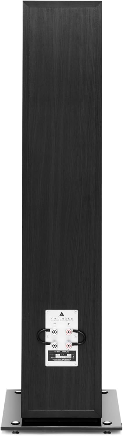 TRIANGLE - Hi-Fi-Standlautsprecher Antal EZ - Belastbarkeit 120 W - Wirkungsgrad 92 dB/W/m - Vielsei