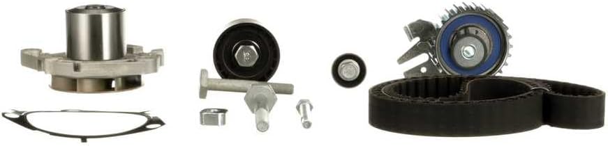 GATES PowerGrip Kit + Wasserpumpe KP15542XS
