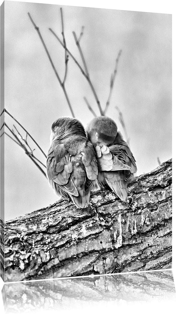 Pixxprint Rosenköpfchenpaar als Leinwandbild/Grösse: 100x70 / Wandbild/Kunstdruck/fertig bespannt, 1