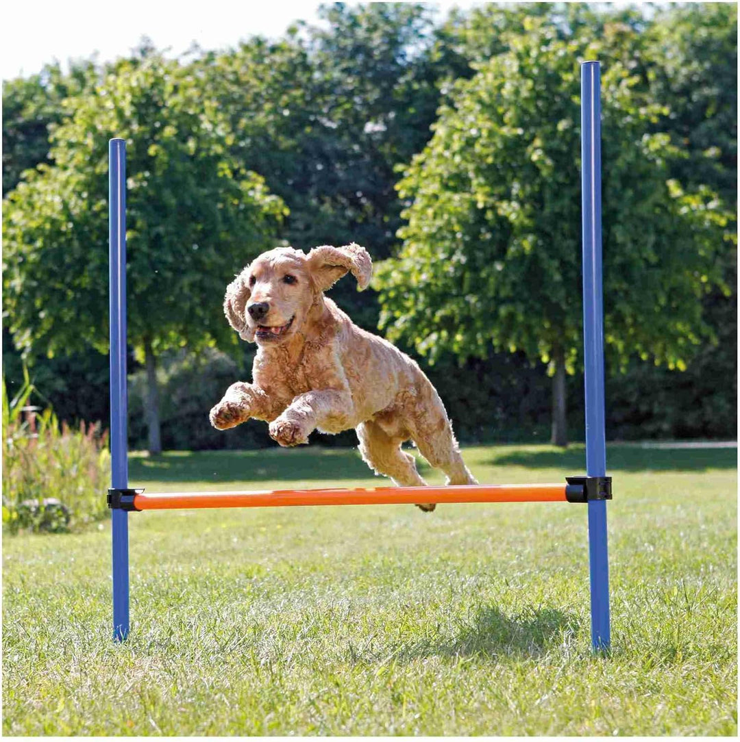 Trixie 3207 Dog Activity Agility Hürde, 123 × 115 × ø 3 cm, blau/orange
