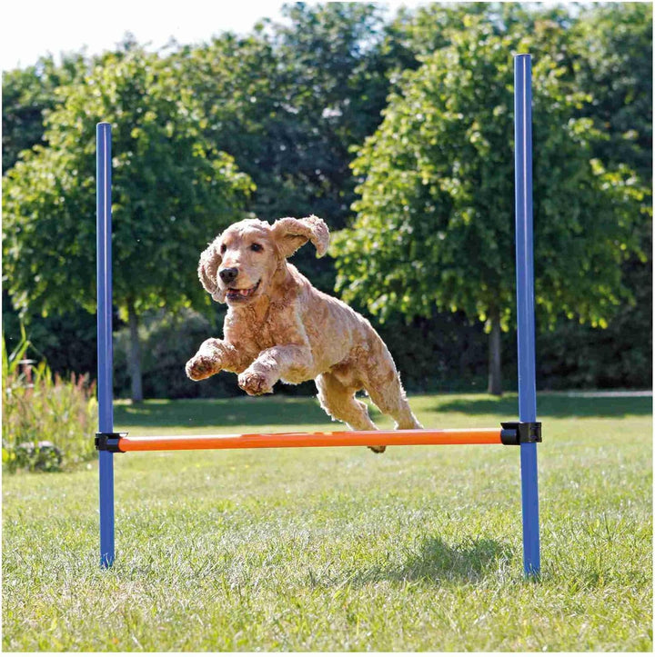 Trixie 3207 Dog Activity Agility Hürde, 123 × 115 × ø 3 cm, blau/orange