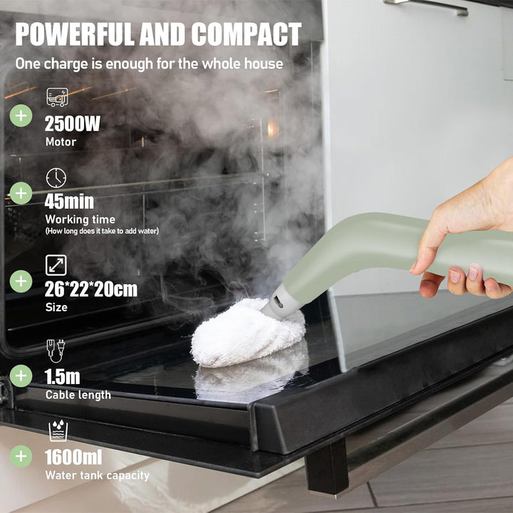 Dampfreiniger, 2500W Leistungsstarker Dampfreiniger Handgerät mit 6 Bürstenköpfen, Mehrzweck Steam C