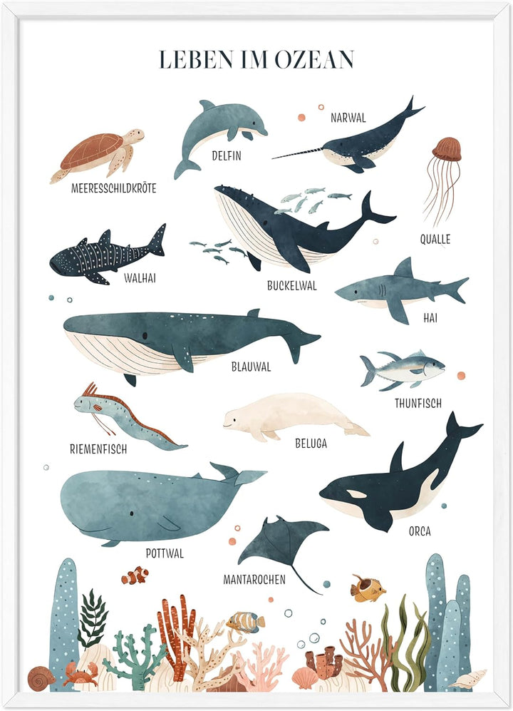 kizibi® Unterwasserwelt Lernposter für Kinderzimmer - Detailliertes DIN A2 Poster des Meeres & Ozean