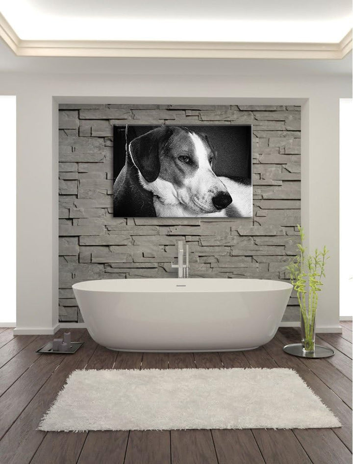 Jack Russel Terrier ruht sich aus auf Leinwand, XXL riesige Bilder fertig gerahmt mit Keilrahmen, Ku