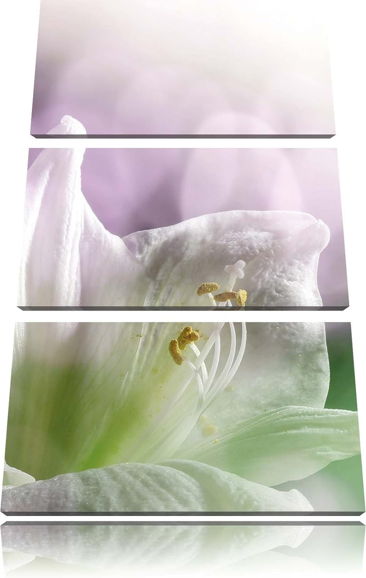 Pixxprint Einzigartige Sphynx Katze als Leinwandbild/Grösse: 3 Teilig (120x80) / Wandbild/Kunstdruck