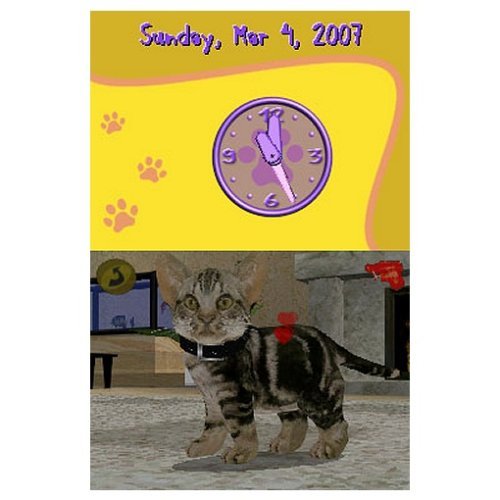 Mein erstes Katzenbaby [Software Pyramide]