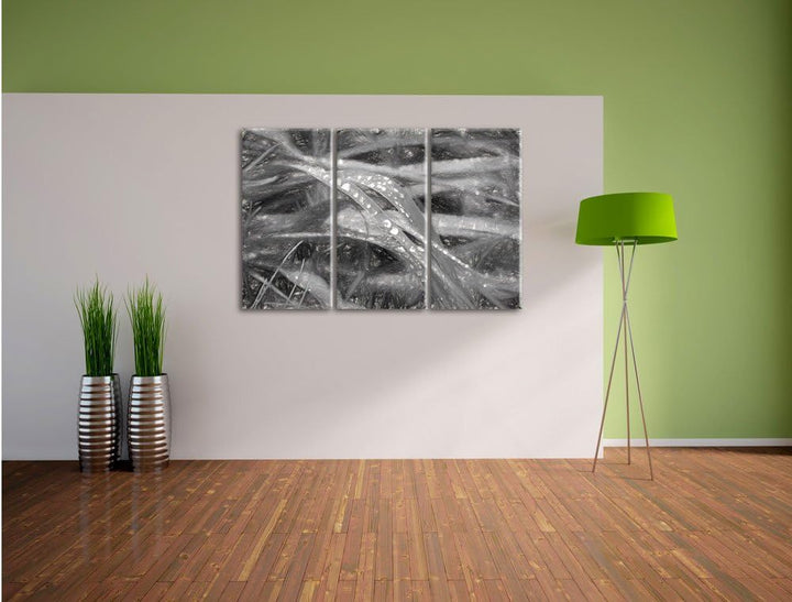 Pixxprint Grashalme Kohle Effekt 3-Teiler Leinwandbild 120x80 Bild auf Leinwand
