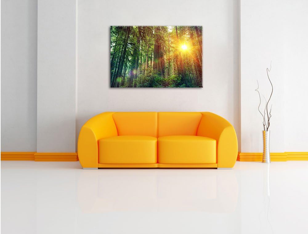 Wald bei Sonnenlicht, Format: 100x70 auf Leinwand, XXL riesige Bilder fertig gerahmt mit Keilrahmen,