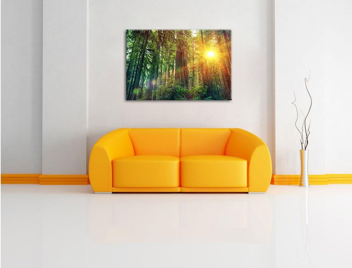 Wald bei Sonnenlicht, Format: 100x70 auf Leinwand, XXL riesige Bilder fertig gerahmt mit Keilrahmen,