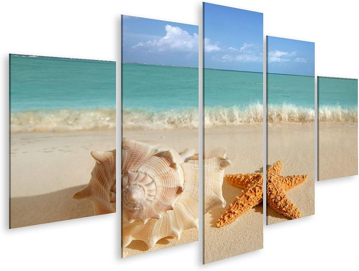 islandburner Bild auf Leinwand Meer Muschel Seestern Im Tropischen Sand Türkisfarbenes Meer Karibik