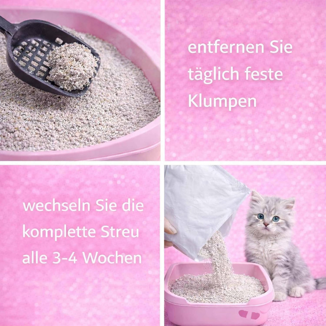 CANCAT 2x15 kg Excellent kanadische Premium Katzenstreu Klumpstreu Babypuderduft