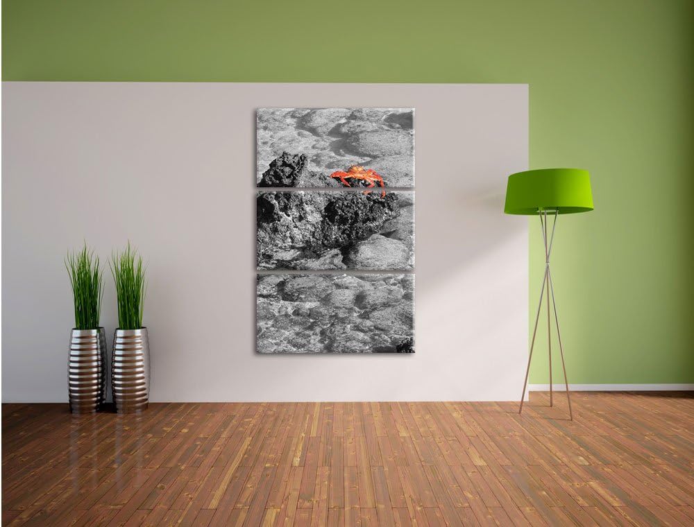 Pixxprint rote Krabbe auf Riff als Leinwandbild/Grösse: 3 Teilig (120x80) cm/Wandbild/Kunstdruck/fer