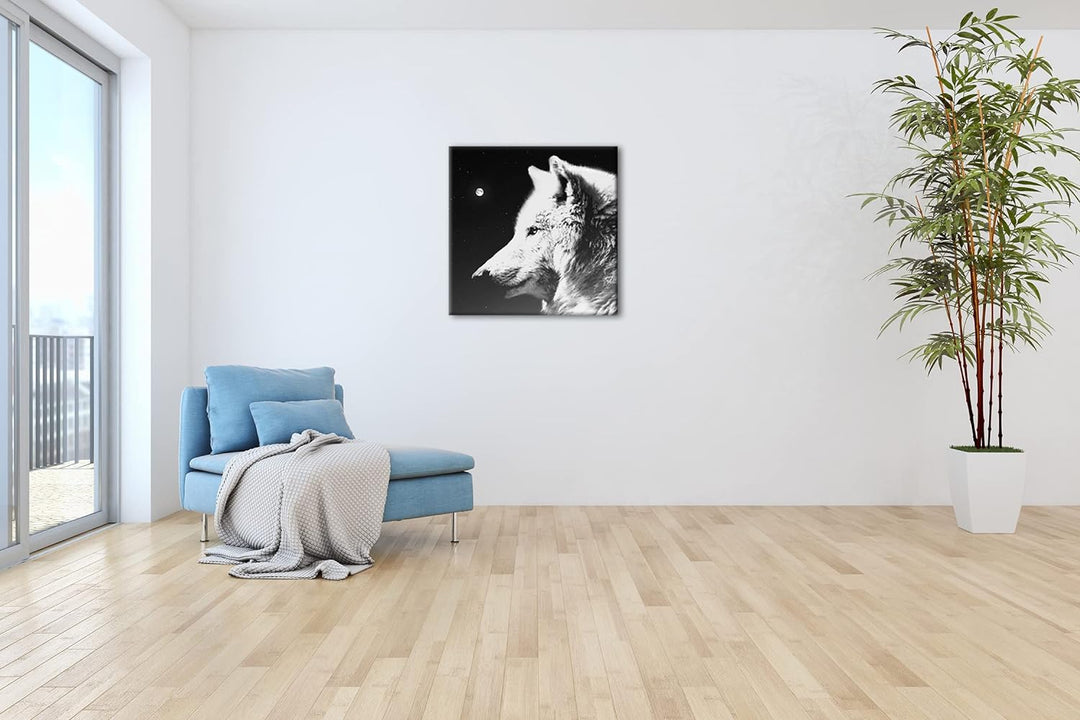 einsamer stolzer Wolf Format: 60x60 Effekt: Schwarz&Weiss als Leinwandbild, Motiv fertig gerahmt auf