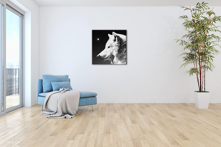 einsamer stolzer Wolf Format: 60x60 Effekt: Schwarz&Weiss als Leinwandbild, Motiv fertig gerahmt auf