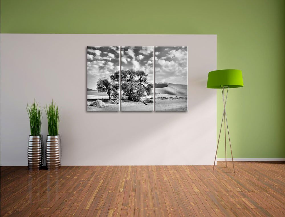 Pixxprint Monocrome, kleine Bäume in Wüstenlandschaft 3-Teiler Leinwandbild 120x80 Bild auf Leinwand