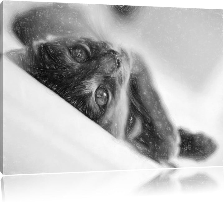 Pixxprint Niedliche Katze Liegt im Bett Bunstift Effekt, Format: 100x70 auf Leinwand, XXL riesige Bi
