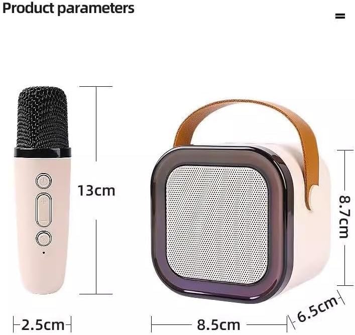 Bluetooth Karaoke Maschine mit 2 Mikrofonen & Lichtshow - 8W Tragbarer Lautsprecher, 5 Stimmeneffekt