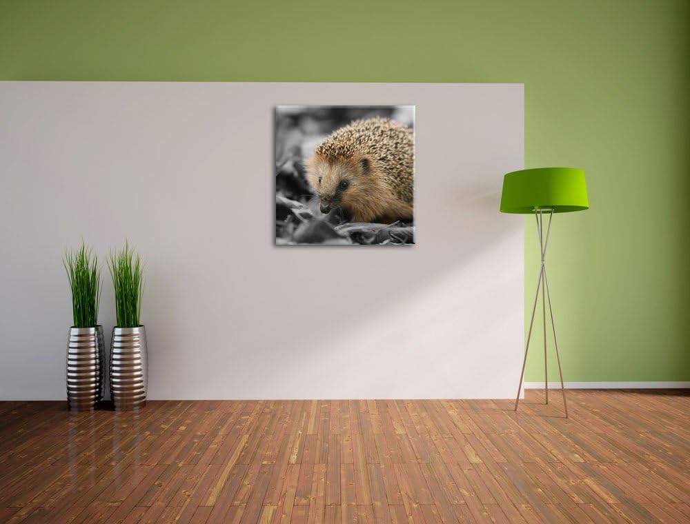 Pixxprint süsser Igel im Laub als Leinwandbild/Grösse: 70x70 cm/Wandbild/Kunstdruck/fertig bespannt,