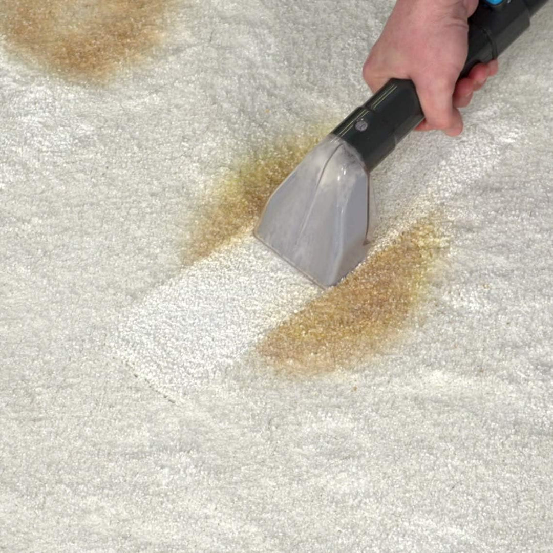 Livington SpotBlast - Waschsauger & Fleckenreiniger für Teppich, Sofa, Polster & Auto - leistungssta