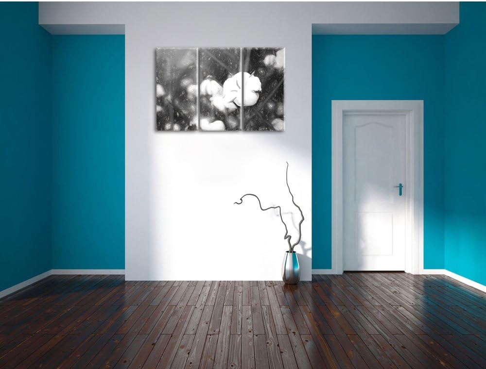 Pixxprint eine ausgereifte Knospe voller Baumwolle Kunst Kohle Effekt 3-Teiler Leinwandbild 120x80 B