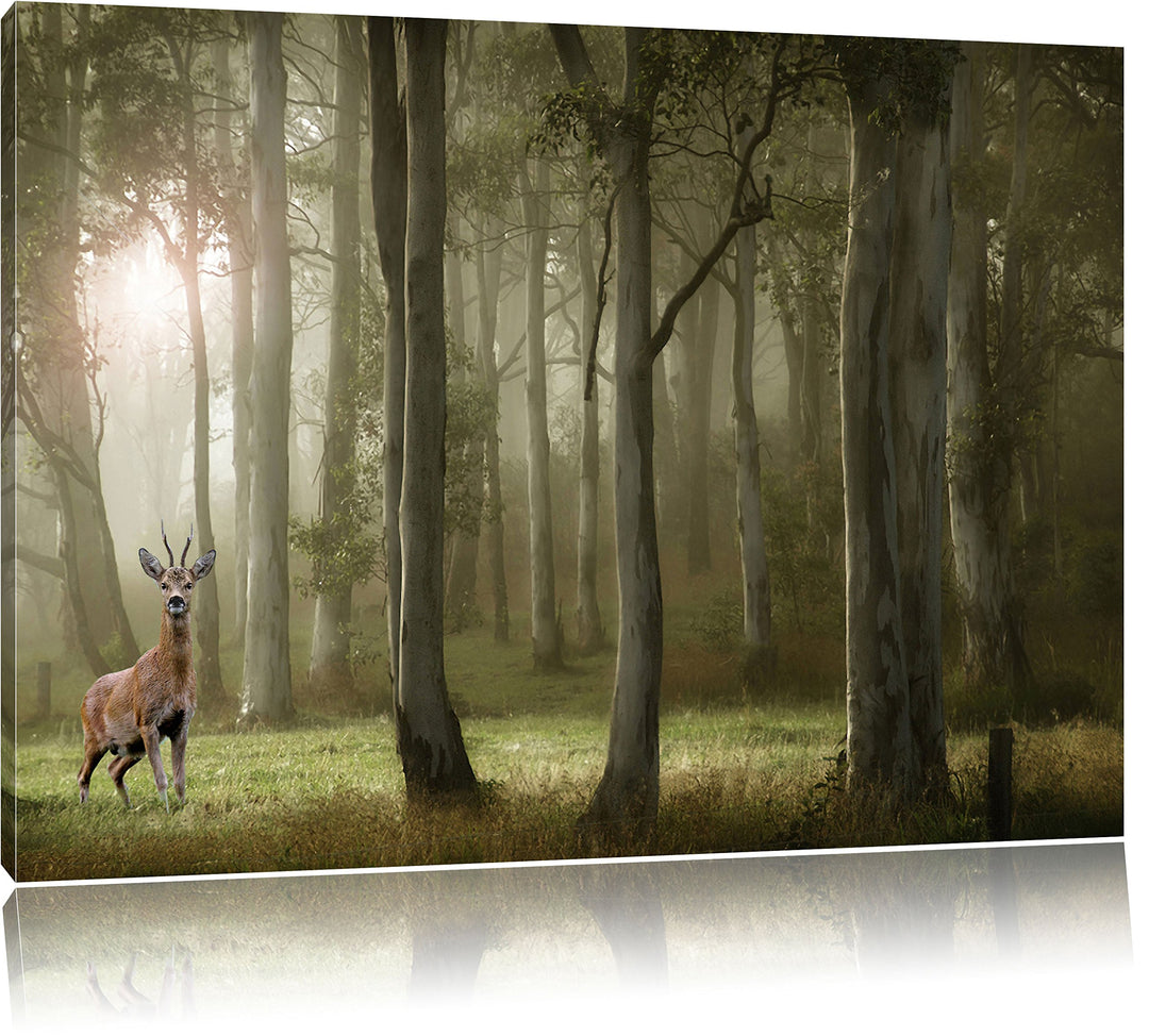 Pixxprint Hirsch im Wald als Leinwandbild/Grösse: 100x70 cm/Wandbild/Kunstdruck/fertig bespannt, 100