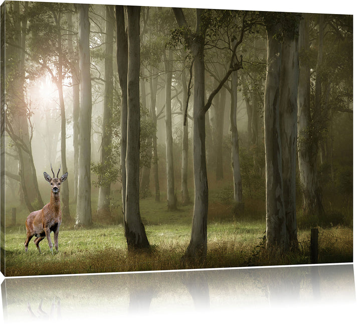 Pixxprint Hirsch im Wald als Leinwandbild/Grösse: 100x70 cm/Wandbild/Kunstdruck/fertig bespannt, 100