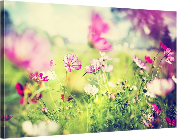 ge Bildet Bild auf Leinwand | Frühling - blumen natur Wiese rosa pink bunt L in 70x50 cm als Wandbil