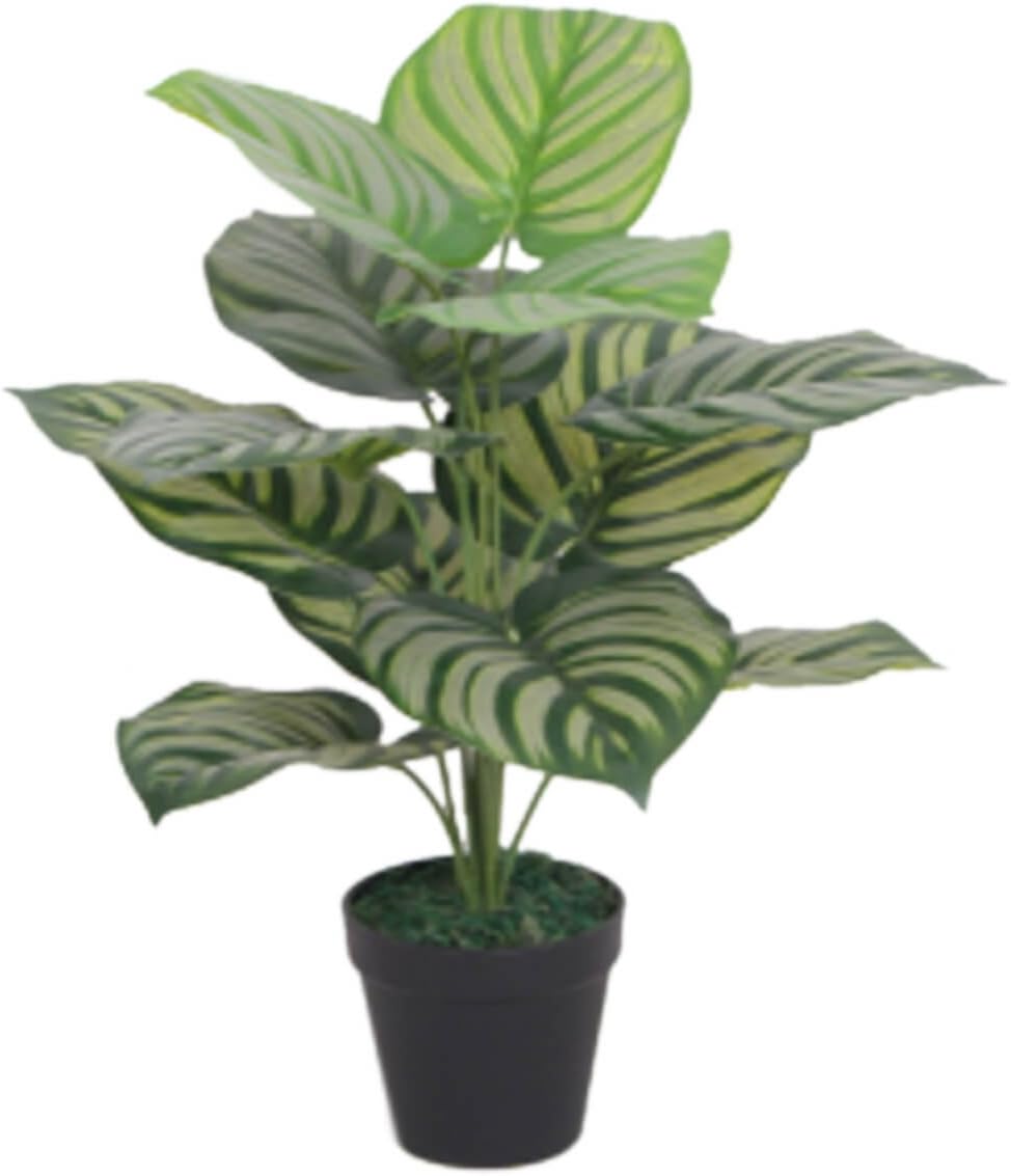 Leaf Kunstpflanze, 60 cm, gestreift, Grün 60cm Stripe Plant, 60cm Stripe Plant