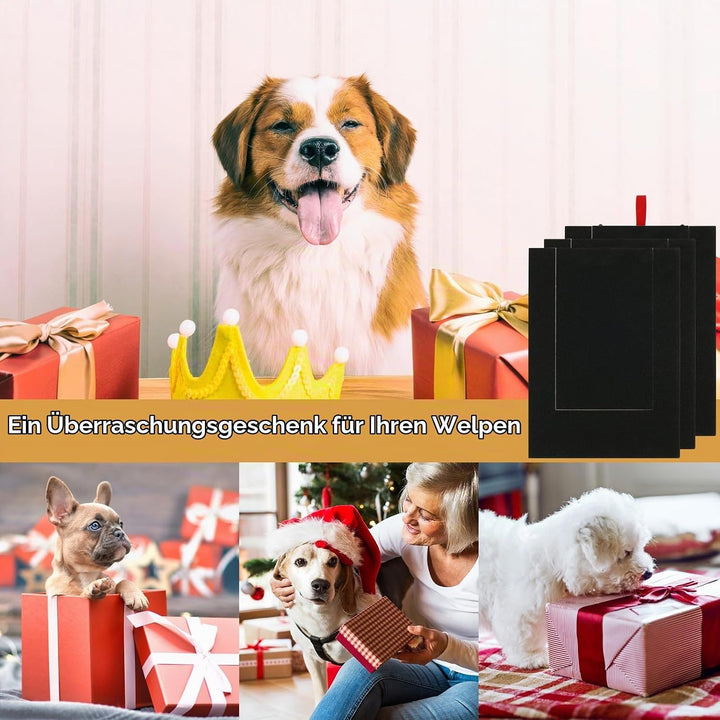 Hunde Krallen Kratzbrett 35x25x3cm Kratzbrett für Hunde mit Leckerli Box Quadrat Stressfrei Dog Nail
