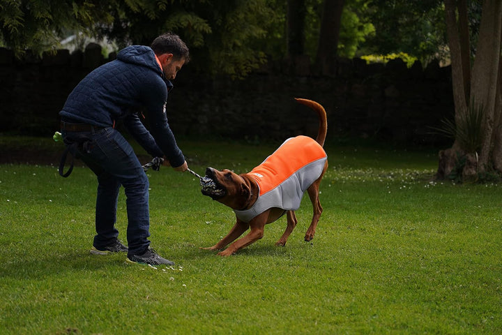 4LegsFriend Kühlweste für Hunde - Atmungsaktive &amp; Verdunstungsweste für heisse Sommertage - Verstell