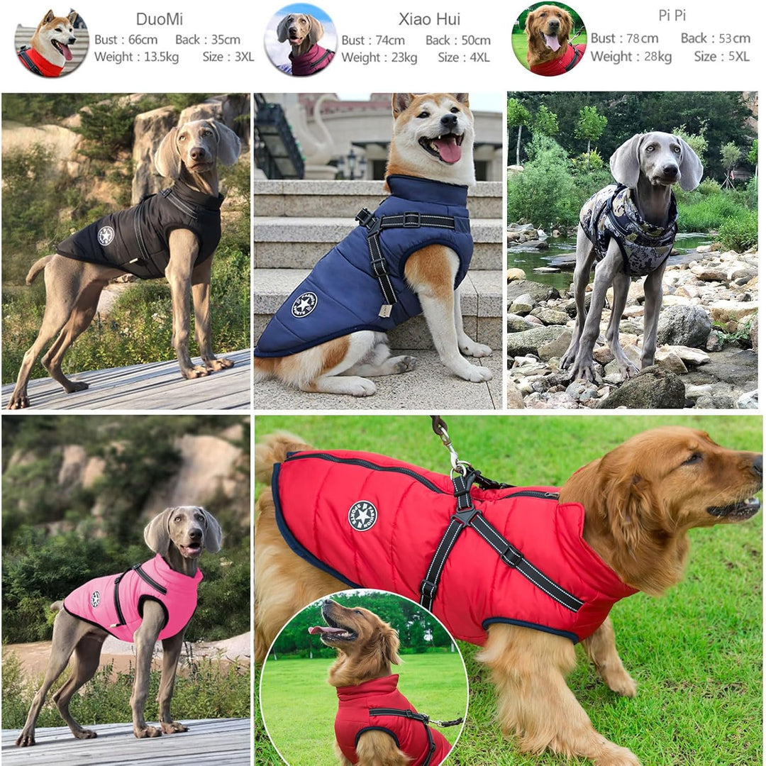 2 in 1 grosse Hundejacke mit Geschirr, Outdoor Hundesportweste Geschirr, Outdoor warmes Haustier Win