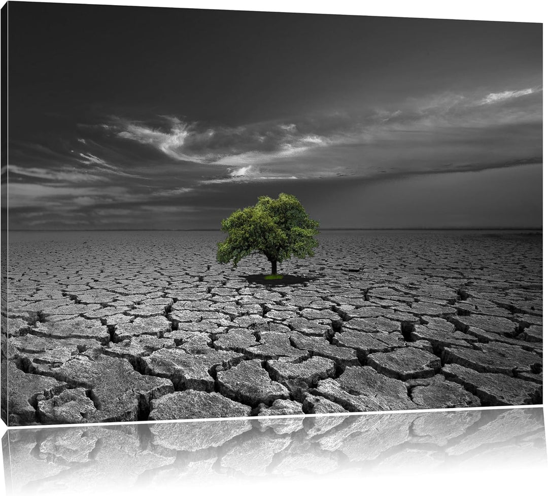 einsamer Baum auf ausgetrocknetem Boden schwarz/weiss Format: 100x70 auf Leinwand, XXL riesige Bilde