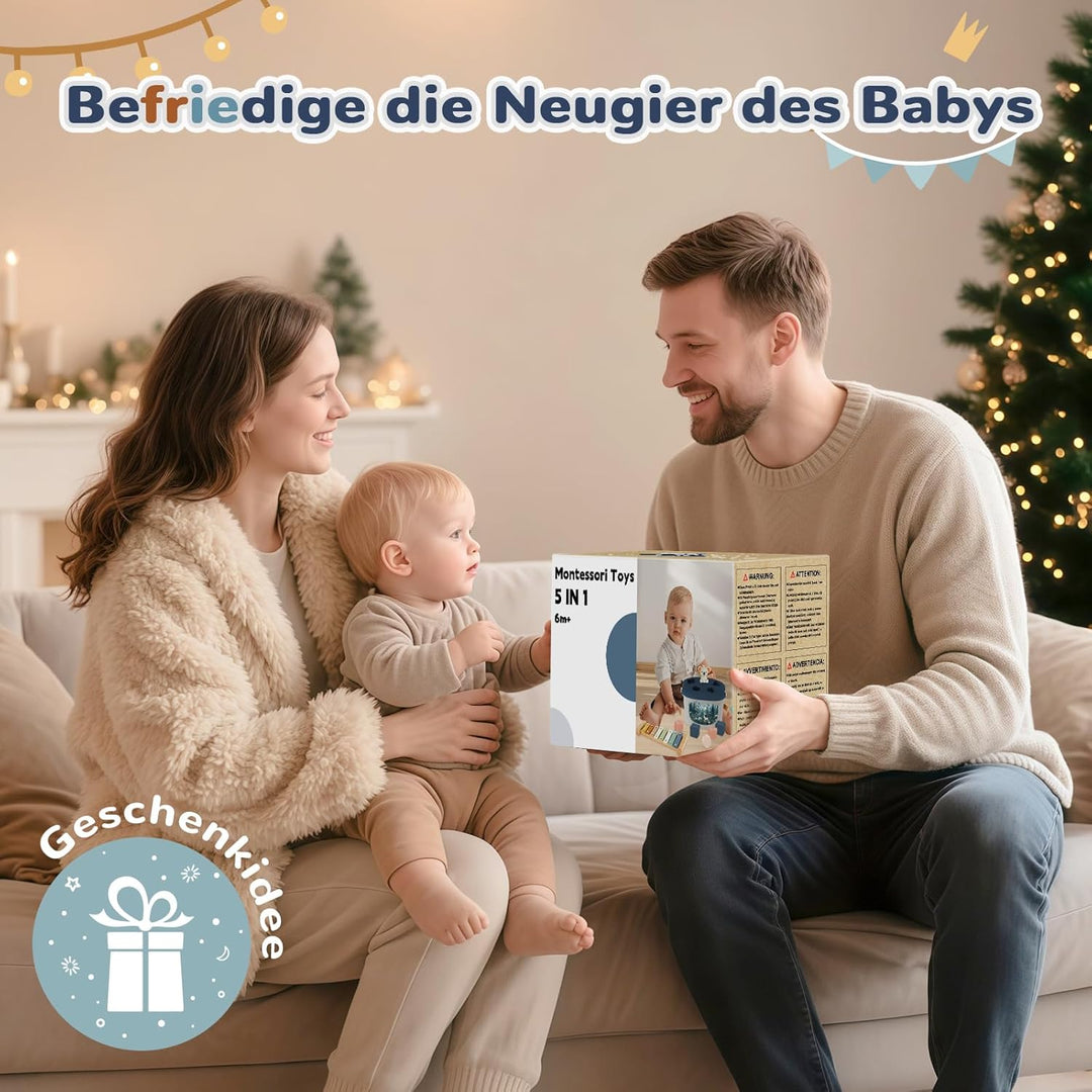 Almaxi Baby Spielzeug ab 6 Monate,5 in 1 Montessori Spielzeug Baby,Motorikspielzeug mit Formensortie