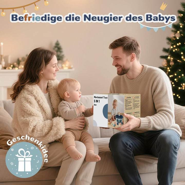 Almaxi Baby Spielzeug ab 6 Monate,5 in 1 Montessori Spielzeug Baby,Motorikspielzeug mit Formensortie