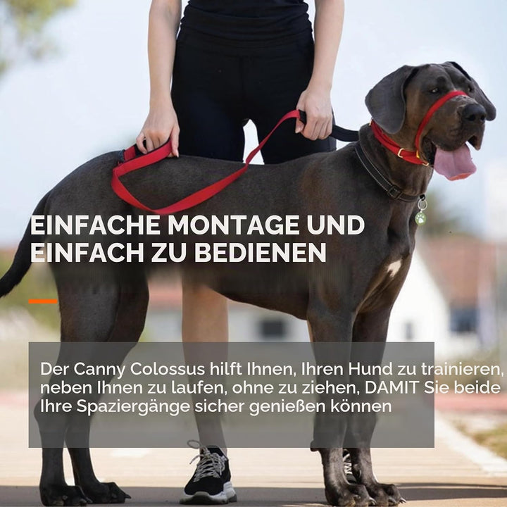 Canny Halsband – The Canny Colossus Hundehalsband für grosse Hunderassen, einfache und effektive Hil