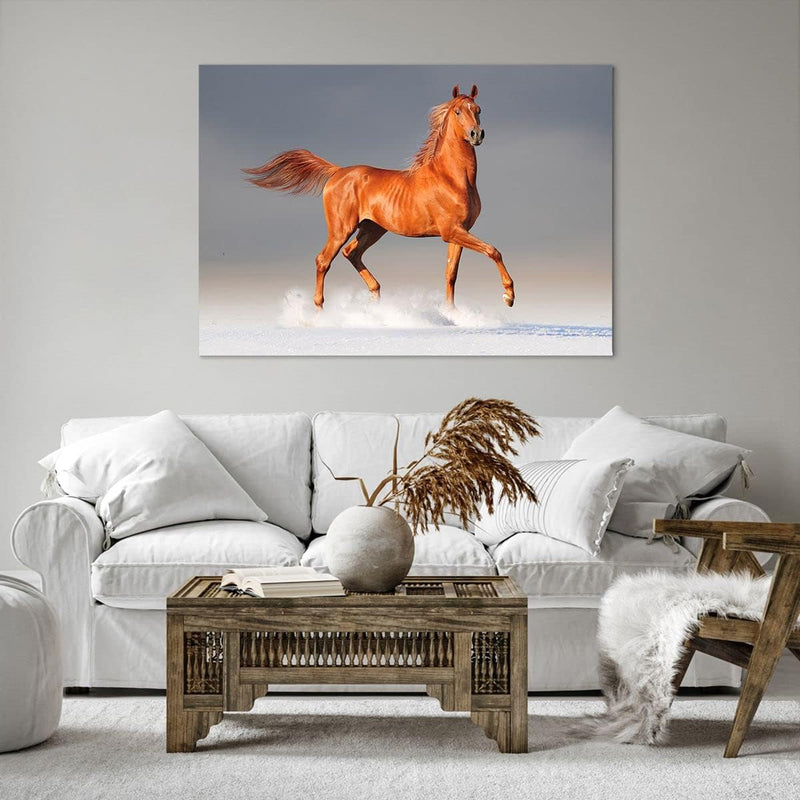 Bilder auf Leinwand 100x70cm Leinwandbild Tiere Pferd Galopp Geschwindigkeit Gross Wanddeko Bild Sch