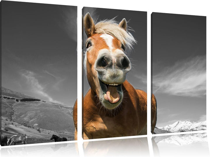 Pixxprint Lustiges Pferd in der Natur B&W Detail 3-Teiler Leinwandbild 120x80 Bild auf Leinwand